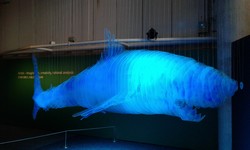 5300 Maritime Museum