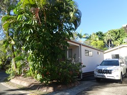 5307 Ashmore Palms