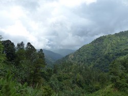 1063 Blue Mountains