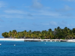23-Palm-Island