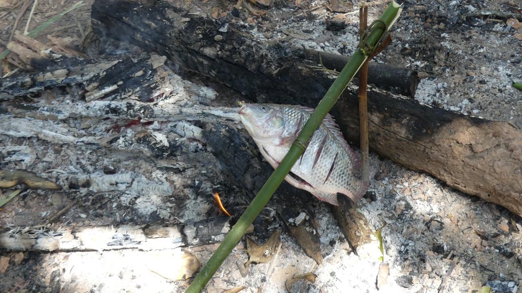 248 Trekking Luang Namtha