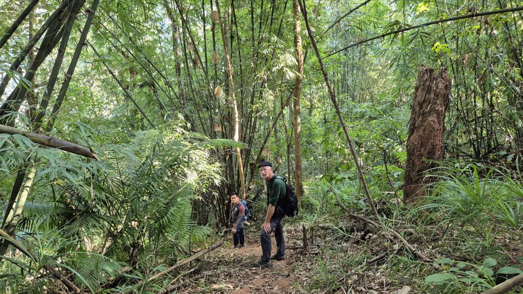 255 Trekking Luang Namtha