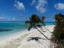 72-Palmenstrand-Tobago-Cays