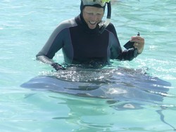 5002 Schwimmen mit Stingray