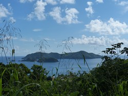 83-Little-Tobago