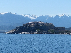 Calvi