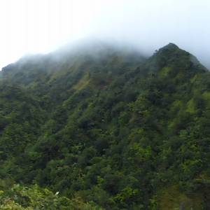 169-Unesco-Weltnaturerbe-Regenwald-Morne-Trois-Pitons