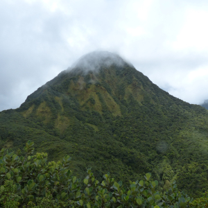 207-Morne-Trois-Pitons