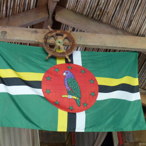 96-Dominica