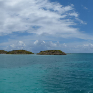 113-Great-Bird-Island