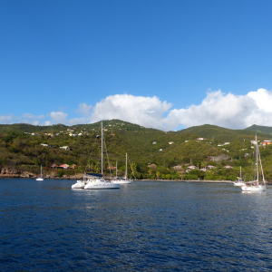 14-Guadeloupe