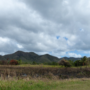 202-Antigua