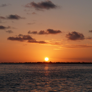 94-Südküste-Barbuda