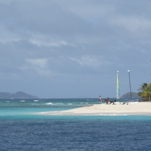 14-Palm-Island
