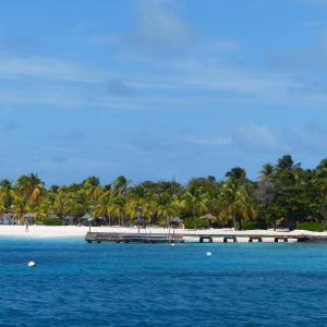 20-Palm-Island