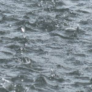 38-Regen