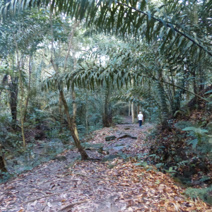 170-Edith-Falls-Trail