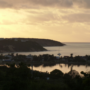 42-Anguilla