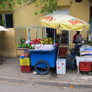 132-Santo-Domingo