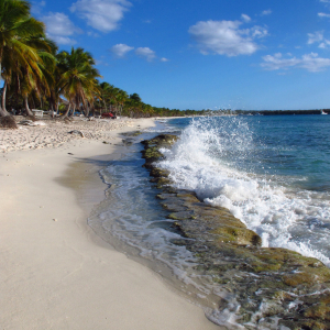 75-Isla-Catalina