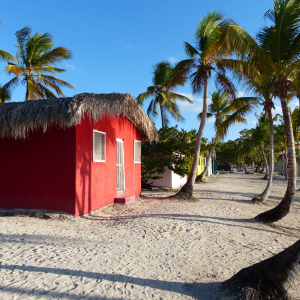 80-Isla-Catalina