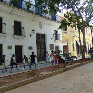 231-Habana