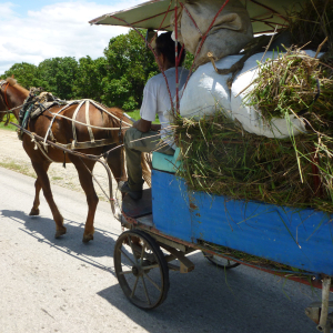 353-Velotour-Cienfuegos