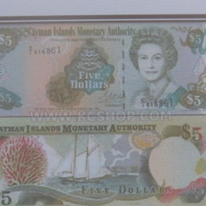 81-Cayman-Dollar