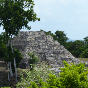 276-Tempel