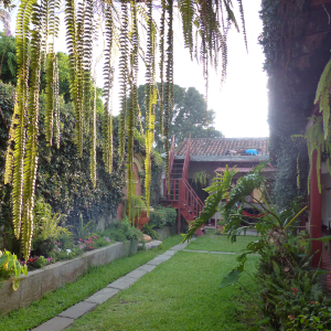 338-Youthhostel-3-monkeys