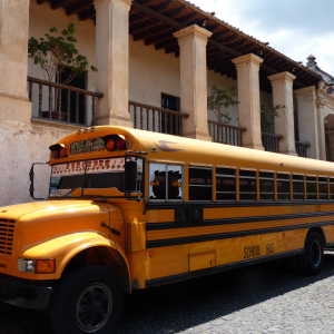 372-Schulbus-4