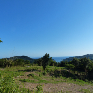 136-Roatan