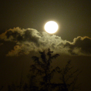 Vollmond