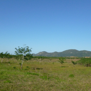 89-Isla-Juventud