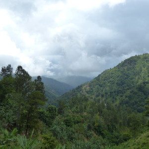 31-Blue-Mountains