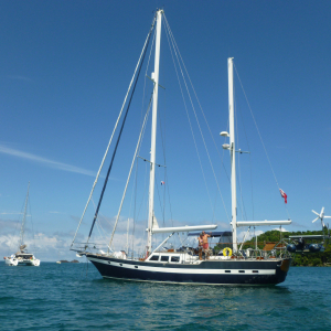 33-Joy-of-Shamrock-Bay