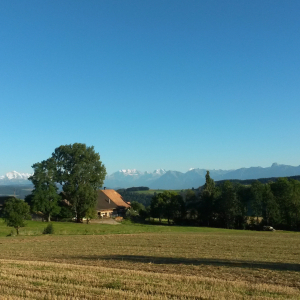 Schweiz Alpen im Hintergrund