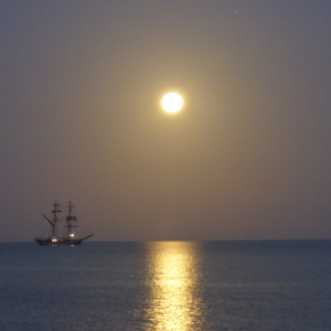 139-Vollmond am Morgen