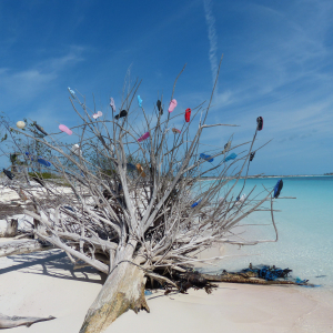 39-Flip-Flop-Baum