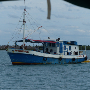 45-Langustenboot
