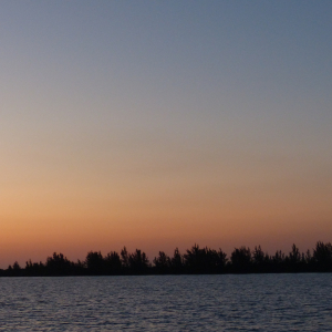 63-Stille