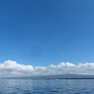 378-Isla-Santa-Cruz
