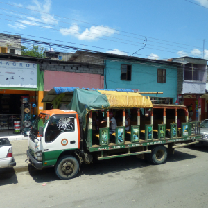 62-Bus