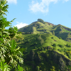 24-Fatu-Hiva