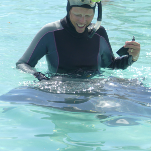 18-Schwimmen-mit Stingray