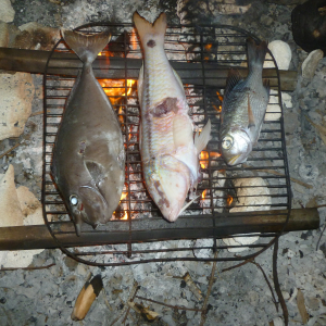 301-Barbecue-Tahanea