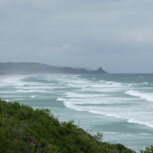 1134-Dunedin-bis-Waihola