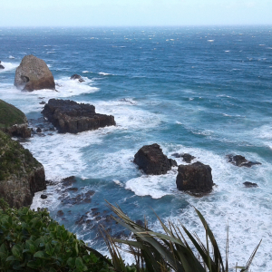 1152-Nugget-Point