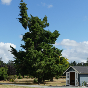 1414-Mossburn