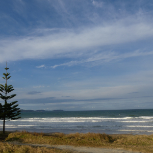 187-Tokeraubeach